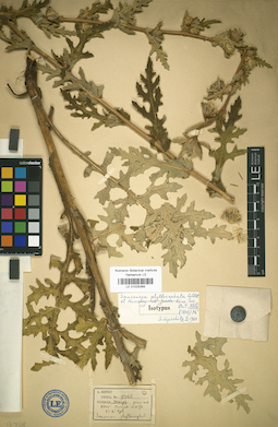 LE 01025084