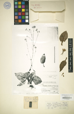 LE 01025085
