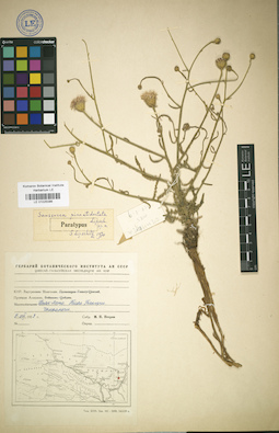 LE 01025086
