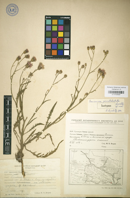 LE 01025087