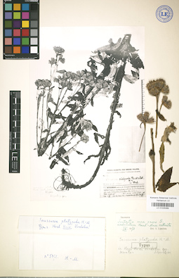 LE 01025089