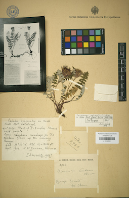 LE 01025091