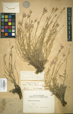 LE 01025097