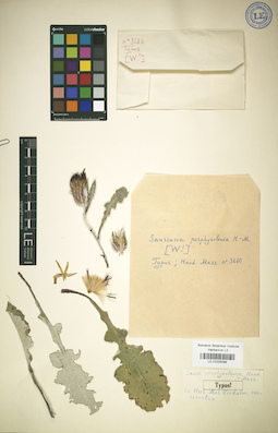 LE 01025099