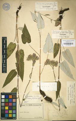 LE 01025105