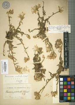 LE 01025108