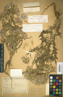 LE 01025116