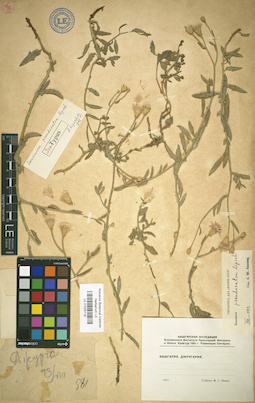 LE 01025118