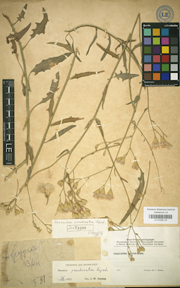 LE 01025119