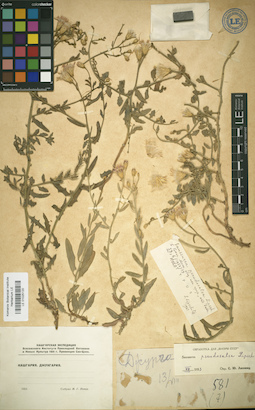 LE 01025120