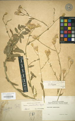 LE 01025121