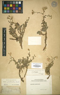 LE 01025122