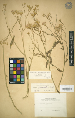 LE 01025123