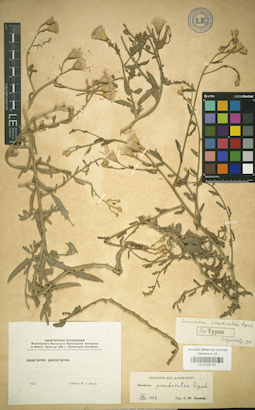 LE 01025124