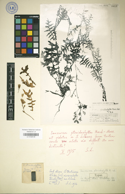 LE 01025125
