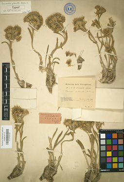 LE 01025128