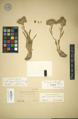LE 01025129