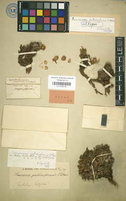 LE 01025130