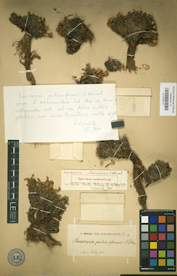 LE 01025131