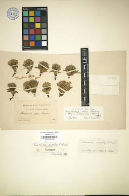 LE 01025133