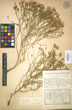 LE 01025135