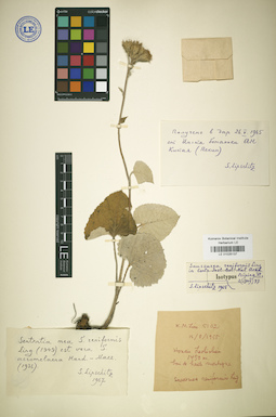 LE 01025137