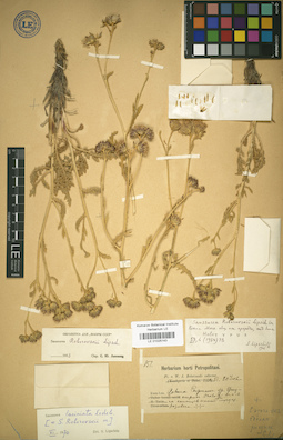 LE 01025143