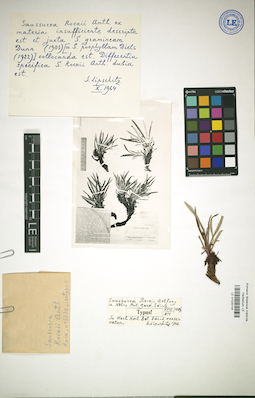 LE 01025144