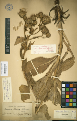 LE 01025148