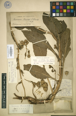 LE 01025150