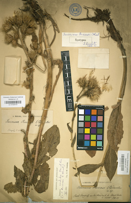 LE 01025152