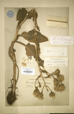 LE 01025155