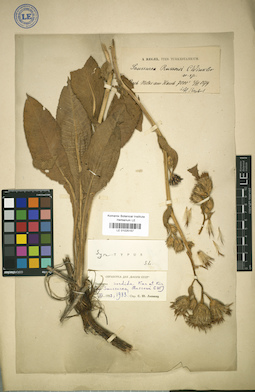 LE 01025157