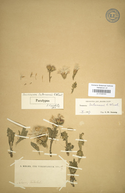LE 01025161