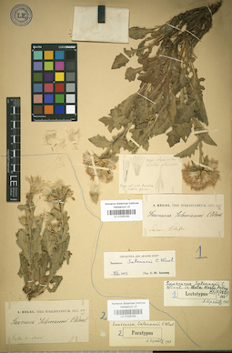 LE 01025162