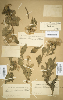 LE 01025166