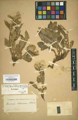 LE 01025167