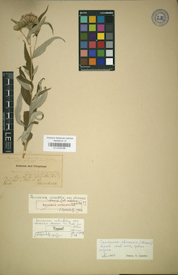 LE 01025168