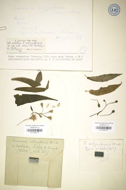 LE 01025173