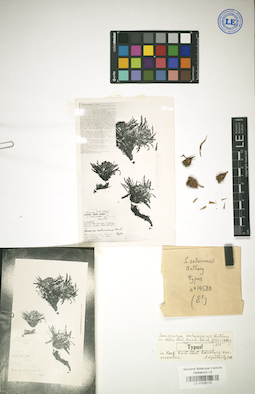 LE 01025175