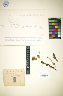 LE 01025178
