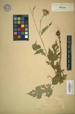 LE 01025180