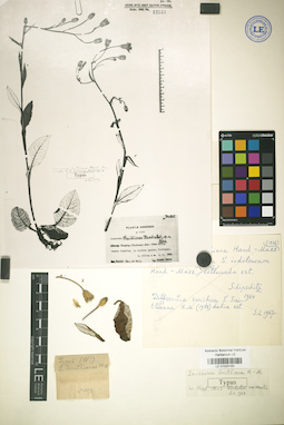 LE 01025183