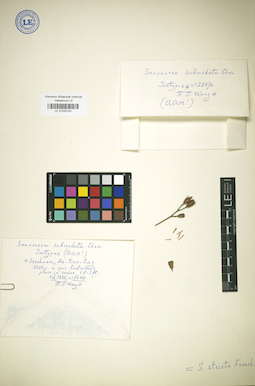 LE 01025191
