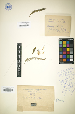 LE 01025193