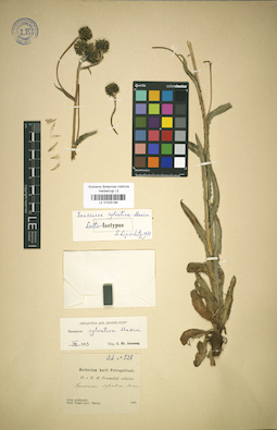 LE 01025199