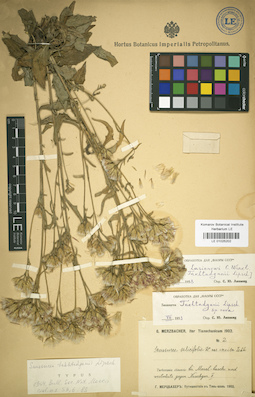 LE 01025202