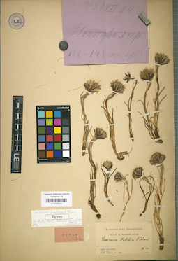 LE 01025221