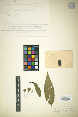 LE 01025228
