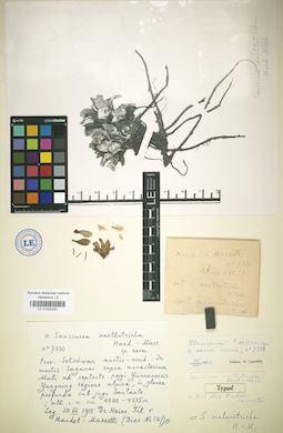 LE 01025230